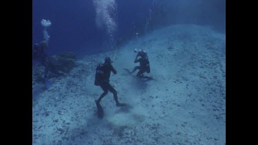 Valerie and Ron shooting White Tip reef Shark