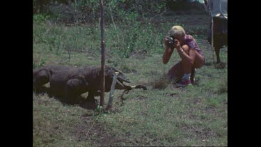 Valerie Taylor photographs komodo dragons