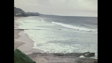 Whale watching at Coalcliff