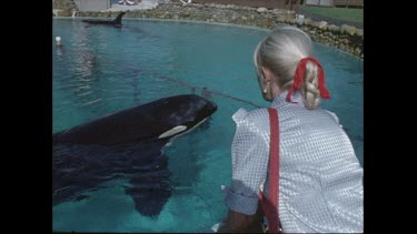 Valerie Taylor looks at orcas contained in small pool at San Diego Seaworld in the 1970s