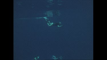 three submerged people snorkelling in depths