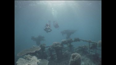 divers explore shipwreck