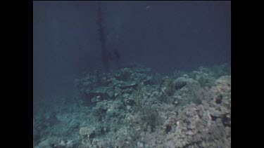 deck of submerged shipwreck