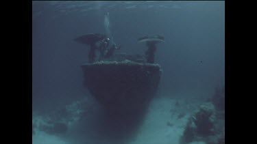 divers swim over shipwreck