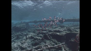 underwater remains of shipwreck Cooma