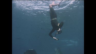 propeller on shipwreck Cooma