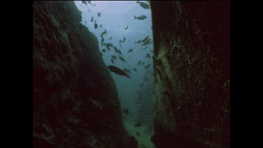 wreck of Japanese fishing boat