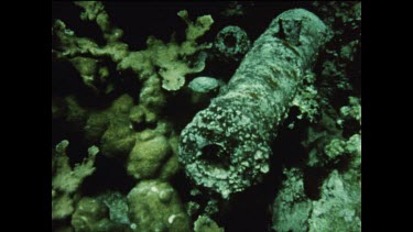 canon on seafloor