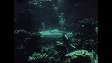 divers approach wreck of sailboat in Caribbean