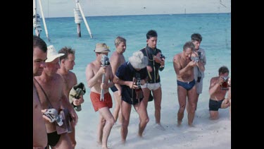 group of tourists take shots of dead tiger shark