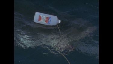 great white shark snaps at float