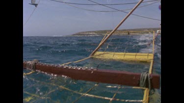 diver steps into shark cage