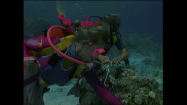 Valerie Taylor and Mark tie bait onto rocks to attract sharks