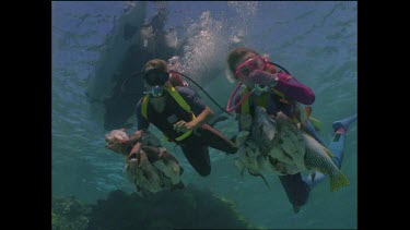 divers Valerie Taylor and Mark bring bait for white tip shark feeding observations