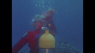 cheeky potato cod tries to tear red ribbon out of diver Valerie Taylor's hair 2