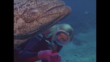 diver attempts to remove fishing hook from potato cod's mouth with pliers but fails