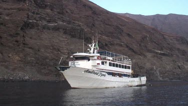 Guadalupe Island - Great White Shark Expedition