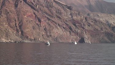 Guadalupe Island - Great White Shark Expedition