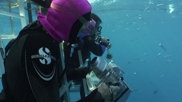 Guadalupe Island - Great White Shark Expedition