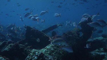 Cooma wreck and Valerie.