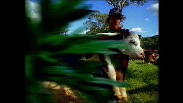 Farmer on horseback with cattle.