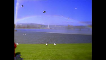 Lake Burley Griffin with woman picnicking in foreground. Fountain in lake.