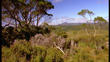 Couple hiking through bush, South West Wilderness