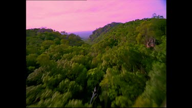 Forested valley at Kakadu National Park