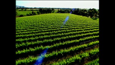 Fields and farm