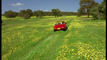 Car driving through field of wild yellow flowers