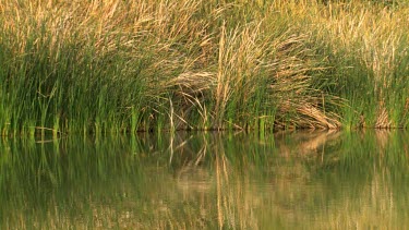 Einot Tsukim Reserve, Israel