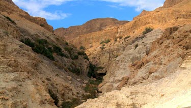 three Ibex Fighting at Ein Gedi Nature reserve