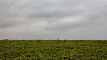 Plain, clean grass field with some darkish clouds