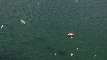 View Of Sea Birds And Red Boat From Cliffs, Rspb Bempton Cliffs, England