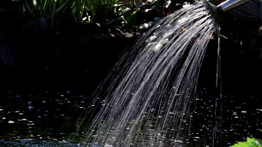 Watering Can Showering Pond, Scarborough, North Yorkshire, England