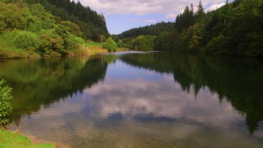 Tree Reflections In Lake, Dalby, North Yorkshire, England