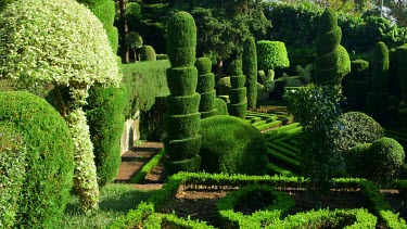 Woman Walks In Topiary Garden, Jardim Botanico, Funchal, Madeira, Portugal