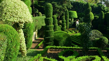 Woman Walks In Topiary Garden, Jardim Botanico, Funchal, Madeira, Portugal