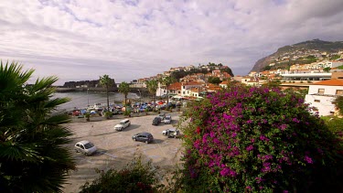 Purple Bougainvillea Bush & Harbour, Camera De Lobos, Madeira, Portugal