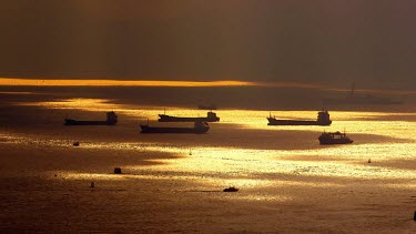 Golden Boats & Ships, Victoria Harbour, Hong Kong