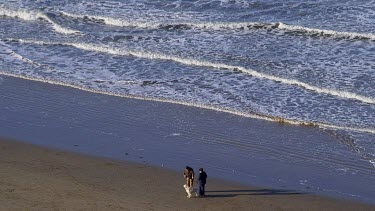 Walking Dog On Beach, North Bay, Scarborough, North Yorkshire, England