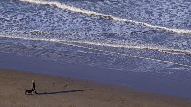 Walking Dog On Beach, North Bay, Scarborough, North Yorkshire, England