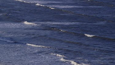 Surfer In North Sea, North Bay, Scarborough, North Yorkshire, England