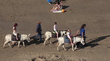 Donkey Rides On Beach, Whitby, North Yorkshire, England