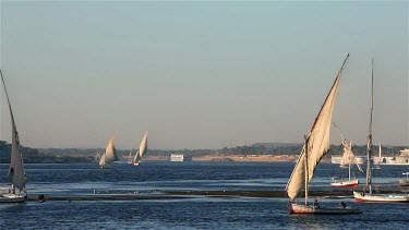Feluccas Sailing On River Nile, Aswan, Egypt