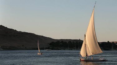 Feluccas In Full Sail, River Nile, Aswan, Egypt