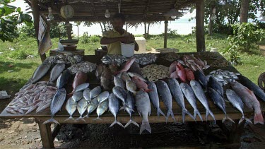 Keeping Fresh Fish Wet On Street Stall, Weligama, Sri Lanka, Asia