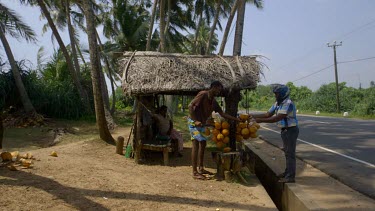 King Coconut Stall, Midigama, Sri Lanka