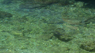 Crystal Clear Water & Ripples, Karpas Peninsula, Northern Cyprus