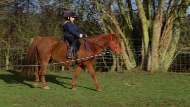 Teaching Girl To Ride Pony, Catwick, East Yorkshire, England